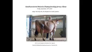 2025 Ancaster Championship Jersey Show