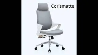 Business Boss Office Chair: Ergonomic, Lifting, Rotating Conference Staff Chair