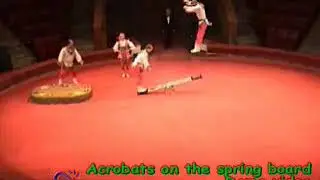 v42TET 100503 Teeterboard Performance Group