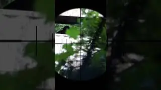 MAGFED PAINTBALL SNIPER Takes out the LEGENDARY CELLAR DWELLER! SAR12c