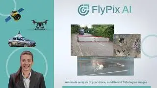 FlyPixAI 360-degree camera-based object detection