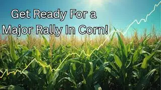 Corn Market Analysis: Selling Exhaustion Confirmed! Time to Buy Corn!