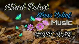 Quiet time ambient music instrument Stress Relief |#mind relax #hdpixture #stressout #ambient music