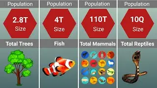 Comparison: Animals Population