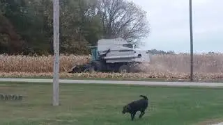Gleaner r72 shelling corn