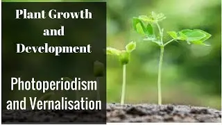 Plant Growth And Development : Part 5 (Photoperiodism & Vernalisation)#NEET #NCERT #biology