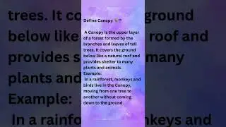 Define Canopy 🦜☂️#define #definition #canopy #forest #example #birds #monkeys #leaves #trees #viral