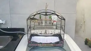 Bom dia meus amigos a mexida doida deu bom 