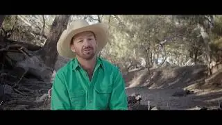 Pilliga Rising Watch Party