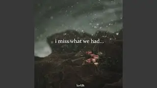 I Miss What We Had...