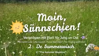 🌞 Hello, Sunshine! &mdash; Learning Low Saxon (&ldquo;Low German&rdquo;) &ndash; 2. &ldquo;The Summer Meadow&rdquo; 🌞