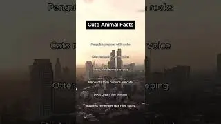 Cute animal facts