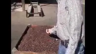 Advice on Making the Most of the Raisin Harvest