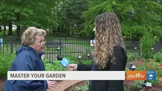 MASTERING YOUR GARDEN: Texas Superstar plants