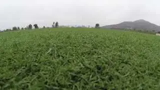 3DR quadcopter with Tarot gimbal 