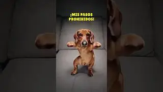 PREPAR&Eacute; una FIESTA!🥳🤣