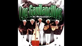 Los Gavilancillos de Michoacan - Carmelita