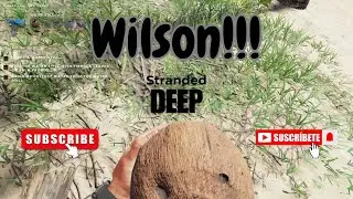 #StrandedDeep #Live #Gameplay | Relaxing Survival Adventure | Chill Vibes & ASMR | Join the Stream!