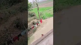 good morning All friends 🌄🙏 shorts video