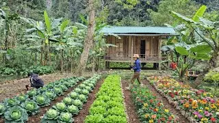 Arrange stones to create raised beds for vegetables and flowers around the pond