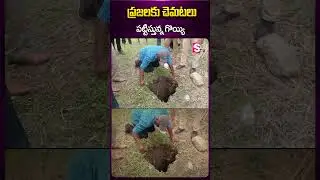 ప్రజలకు చెమటలు పట్టిస్తున్న గొయ్యి#dailynews #tamilnadu #latestnews #ytshorts #sumantv