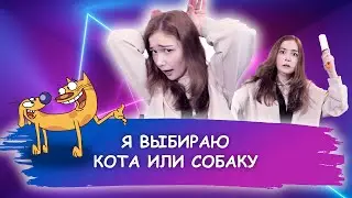 Выбираю кота или собаку