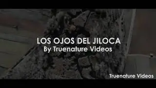 Ojos del Jiloca