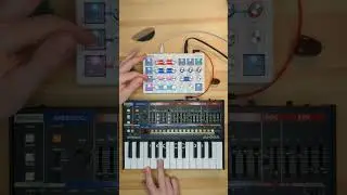 ginTronic transparentSea kickstarter winter 2025 #synth #effects #synthesizer #synthdiy #synthmusic
