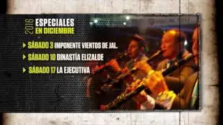 Especiales V&iacute;deo Rola Diciembre