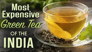 Most Expensive Green Tea of India  | Drinks | Darjeeling Tea | Green Tea | Hungry Monk