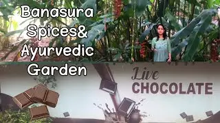 Banasura Spices &Ayurvedic Garden Wayanad || Travel Vlog ||