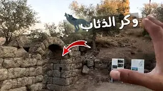 دخلت وكر ذئاب بدون قصد ☠️ | خيمت علي بحيرة معزوله لوحدي تماما 🔥 مغامره قويه في ريف تركيا 🇹🇷
