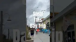 Carolina Beach Day Trip Itinerary | Best Things to Do with Kids