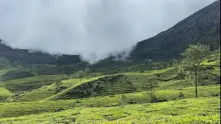 Munnar Pre-Wedding Shoot | Capturing Love in the Clouds 