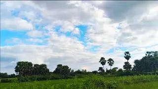 A Morning in the Village#nature #indiannature #villagelife 