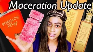 Perfume Maceration Update | MiddleEastern Perfumes 