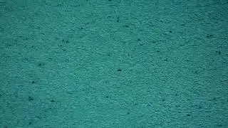 RAIN VIDEO FOOTAGE FREE - RAIN STOCK FOOTAGE | FREE HD VIDEO - NO COPYRIGHT 10
