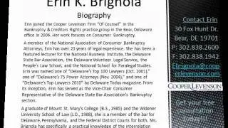 Erin K. Brignola - One of Delaware Today's Top Bankruptcy Lawyers 2012