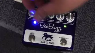 Black Cat Pedals BeeBuzz Fuzz Demo