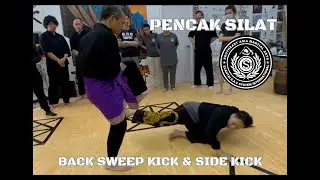 Silat Back Sweep Kick & Side Kick
