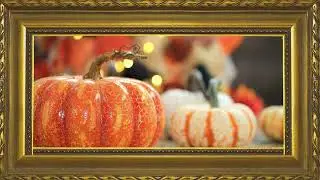 Fall Pumpkins Slideshow | TV Art | Framed Art Screens | No Sound |One Hour | Holiday Backgrounds