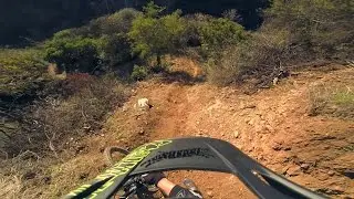 Santa Monica Enduro MTB Samurai Trail - January 2015