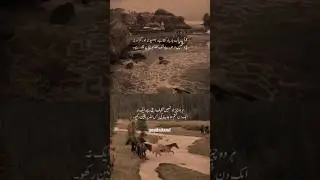 The Quran's Message: Don't Despair! Allah is Capable of All Things 🙏 #shortsfeed #shortvideo #shorts