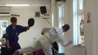 The Martial Art For Life: Choi Kwang Do