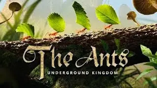 THE ANTS: UNDERGROUND KINGDOM | iOS | Global | First Gameplay