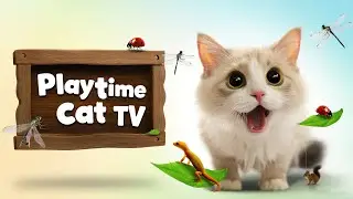 Playtime Cat TV - Interactive Cat Game to Keep Cats Active DAY 3