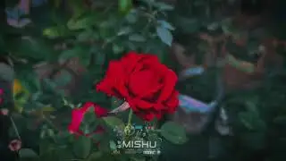 #cjgtasanandreas #jlgaming #shortvideo #sub #hjfaisal #hkgirl #viyona 