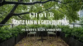 Gentle Rain in a Green Courtyard | Peaceful Rain Ambience for Relaxation and Rest