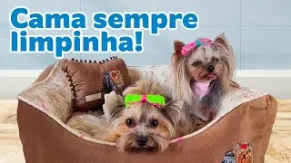 COMO MANTER A CAMINHA DOS PETS SEMPRE LIMPA E NOVA!