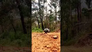Hilux 4WD Mount Pinnibar #hilux #4wd #lifestyle